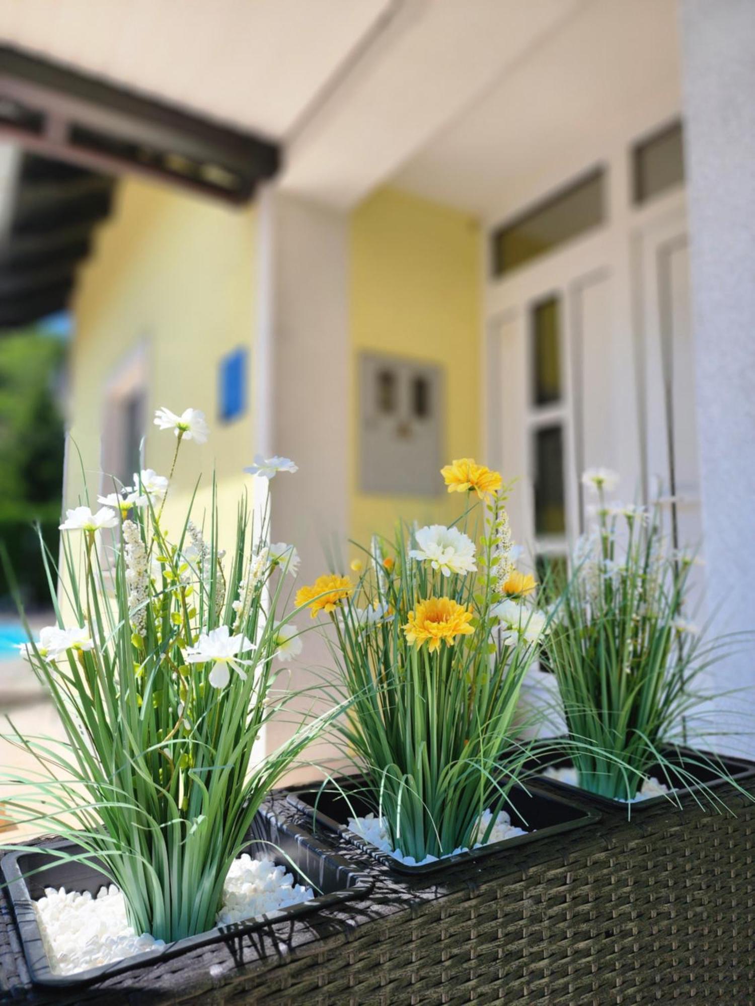 Villa Spa Magic Tuheljske Toplice Bagian luar foto