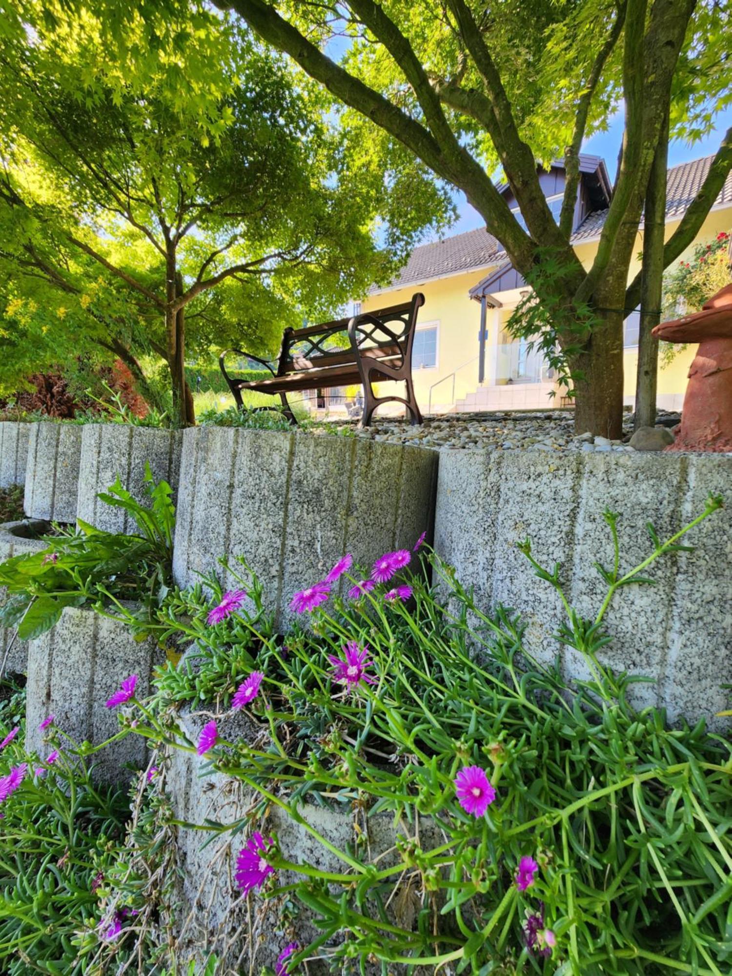 Villa Spa Magic Tuheljske Toplice Bagian luar foto